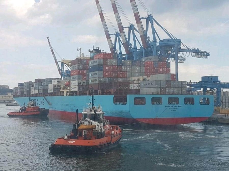Maersk Senang Terminal Sech Genova