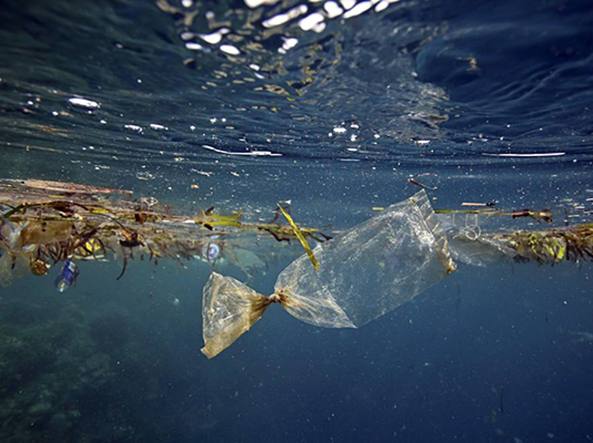 Regione Toscana Stabilimenti balneari no plastica
