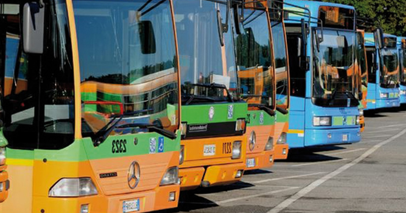 TPL Bus