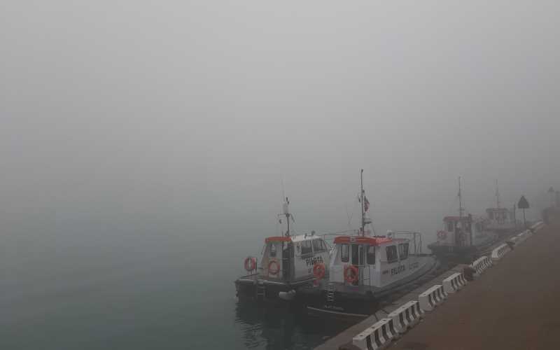 Nebbia Livorno