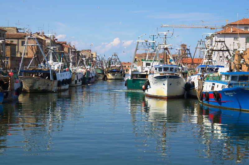 Pescherecci Chioggia
