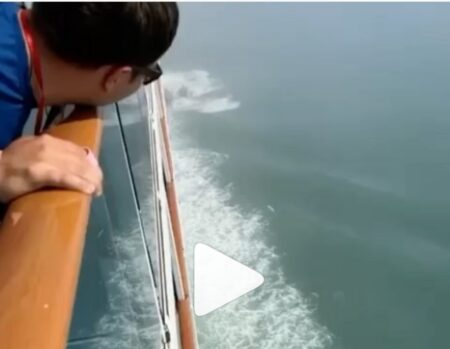 IMG 20220630 091949 1 Video/Nave da crociera urta contro il ghiaccio - Paura a bordo pensando al Titanic