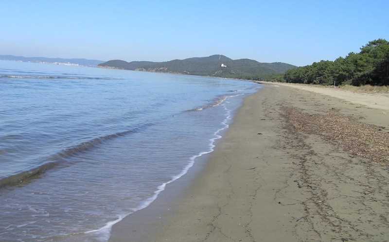 Spiaggia PuntaAla