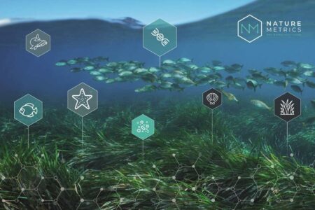 Nature Metrics