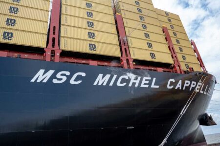 Msc Michel Cappellini